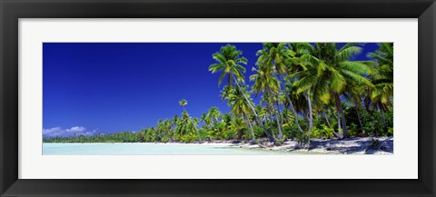 Framed Beach With Palm Trees, Bora Bora, Tahiti Print
