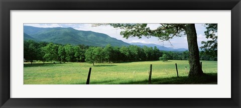 Framed Meadow Surrounded By Barbed Wire Fence, Cades Cove, Great Smoky Mountains National Park, Tennessee, USA Print