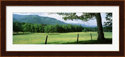 Framed Meadow Surrounded By Barbed Wire Fence, Cades Cove, Great Smoky Mountains National Park, Tennessee, USA Print