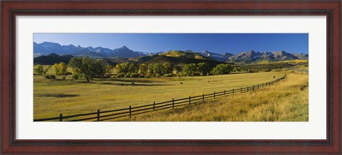 Framed Trees in a field, Colorado, USA Print