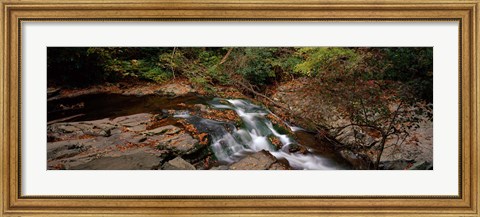 Framed White Water The Great Smoky Mountains TN USA Print
