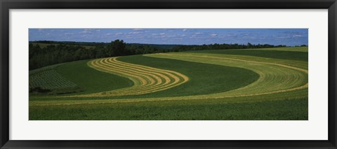 Framed Curving crops in a field, Illinois, USA Print