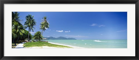 Framed Palm trees on the beach, Penang State, Malaysia Print