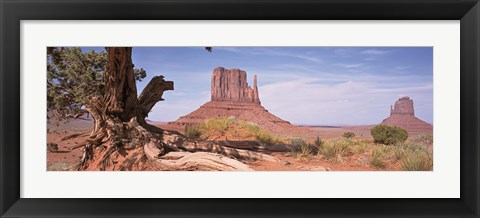 Framed Close-Up Of A Gnarled Tree With West And East Mitten, Monument Valley, Arizona, USA, Print