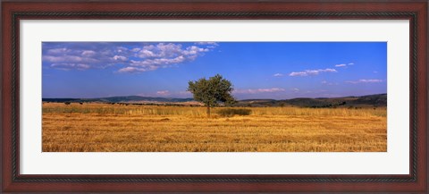 Framed Wheat Field Central Anatolia Turkey Print
