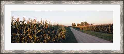 Framed Dirt road passing through fields, Illinois, USA Print