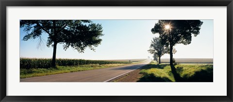 Framed Road passing through fields, Illinois Route 64, Illinois, USA Print