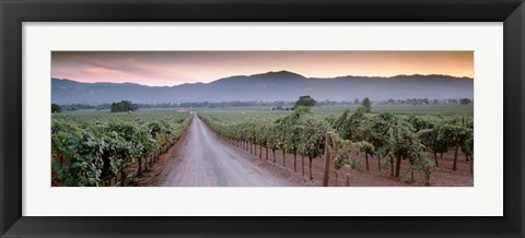 Framed Road in a vineyard, Napa Valley, California, USA Print