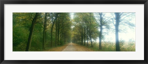 Framed Road With Fog, France Print