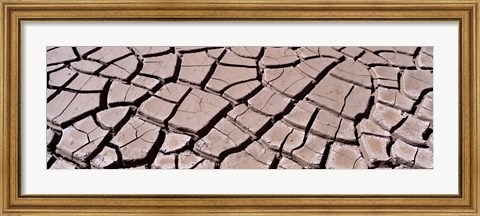 Framed Close-up of cracked mud, South Dakota, USA Print