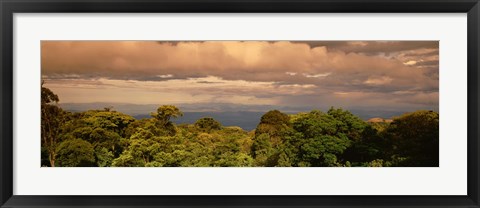 Framed Monteverde Puntarenas Province Costa Rica Print