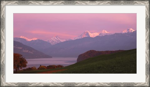 Framed Switzerland, Bernese Alps, Lake Thun Print