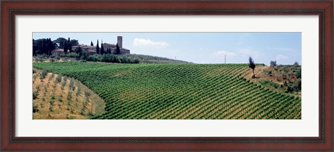 Framed Vineyards and Olive Grove outside San Gimignano Tuscany Italy Print