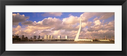 Framed Netherlands, Holland, Rotterdam, Erasmus Bridge Print