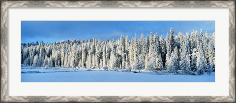 Framed Winter Wawona Meadow Yosemite National Park CA USA Print
