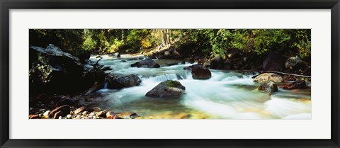 Framed Mountain Stream CO USA Print