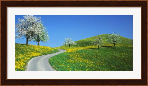 Framed Winding Road Canton Switzerland Print