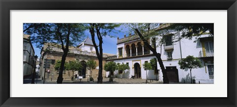 Framed Trees in front of buildings, Convento San Leandro, Plaza Pilatos, Seville, Spain Print