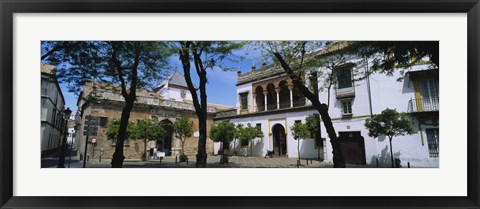 Framed Trees in front of buildings, Convento San Leandro, Plaza Pilatos, Seville, Spain Print