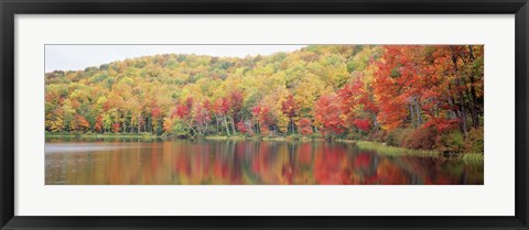 Framed Savoy Mountain State Forest, Massachusetts, USA Print