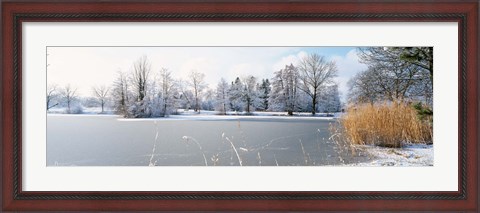 Framed Snow covered trees near a lake, Lake Schubelweiher Kusnacht, Zurich, Switzerland Print