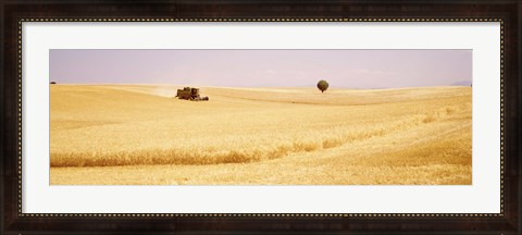 Framed Tractor, Wheat Field, Plateau De Valensole, France Print
