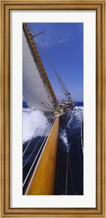 Framed Yacht Mast Caribbean Print