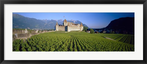 Framed Vineyard in front of a castle, Aigle Castle, Musee de la Vigne et du Vin, Aigle, Vaud, Switzerland Print