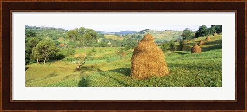 Framed Farm, Transylvania, Romania Print