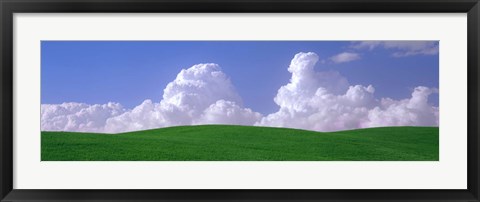 Framed USA, Washington, Palouse, wheat and clouds Print