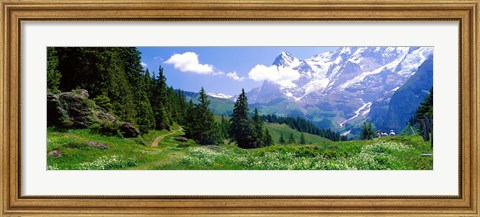 Framed Alpine Scene Near Murren Switzerland Print