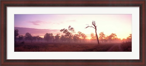 Framed Kakadu National Park Northern Territory Australia Print