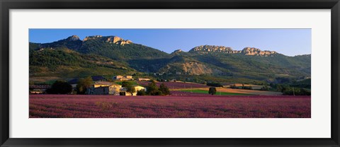 Framed Lavender Fields And Farms, High Provence, La Drome, France Print