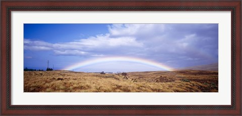 Framed Field, Rainbow, Hawaii, USA Print