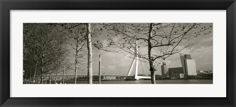 Framed Bridge Over A River, Erasmus Bridge, Rotterdam, Netherlands Print