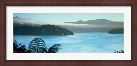 Framed Kenepuru, Marlborough Sound, New Zealand Print