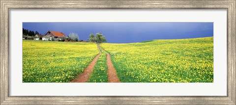 Framed Dirt road passing through a field, Germany Print