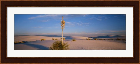 Framed Shrubs in the desert, White Sands National Monument, New Mexico, USA Print