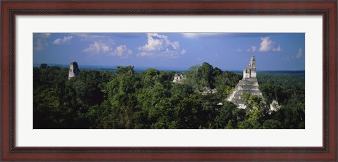 Framed High Angle View Of An Old Temple, Tikal, Guatemala Print