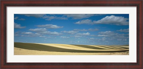 Framed Clouded sky over a striped field, Geraldine, Montana, USA Print