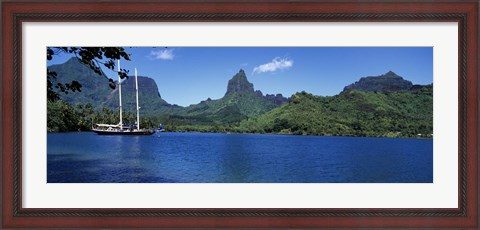 Framed Sailboats Sailing In The Ocean, Opunohu Bay, Moorea, French Polynesia Print