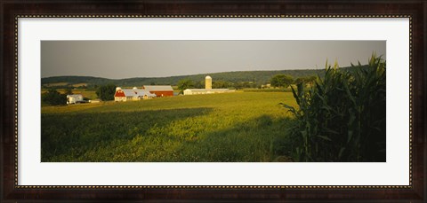 Framed Crop in a field, Frederick County, Virginia, USA Print
