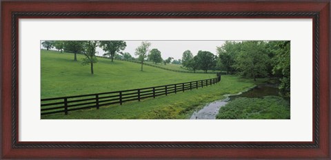 Framed Fence in a field, Woodford County, Kentucky, USA Print