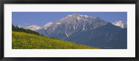 Framed High angle view of flowers on a landscape, Tirol, Austria Print