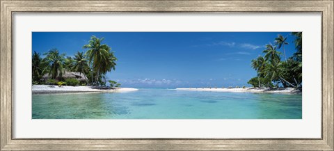 Framed Palm trees on the beach, Tikehau, French Polynesia Print