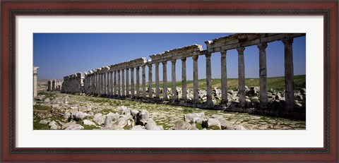 Framed Row of Columns, Cardo Maximus, Apamea, Syria Print