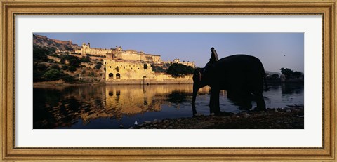 Framed Side profile of a man sitting on an elephant, Amber Fort, Jaipur, Rajasthan, India Print