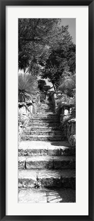 Framed Low angle view of steps in a garden, Neptune&#39;s Steps, Tresco Abbey Garden, Tresco, Isles Of Scilly, England Print