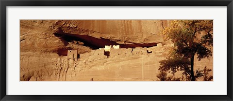 Framed Tree in front of the ruins of cliff dwellings, White House Ruins, Canyon de Chelly National Monument, Arizona, USA Print