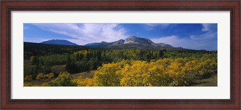 Framed Valley of Trees in Wateron Lakes Print